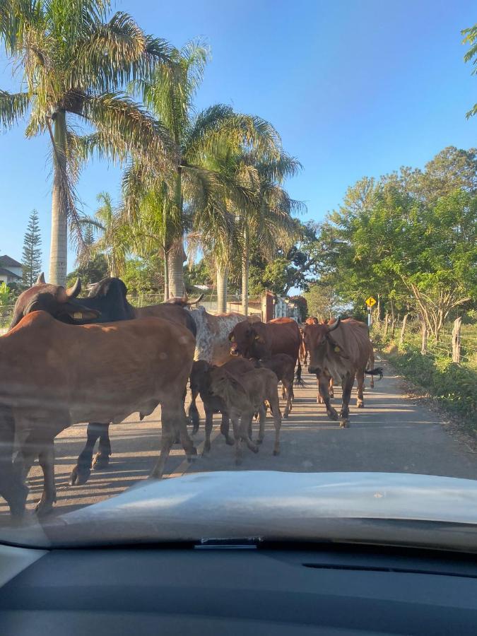 Apartmán Colina Buena Vista A4 Jarabacoa Exteriér fotografie